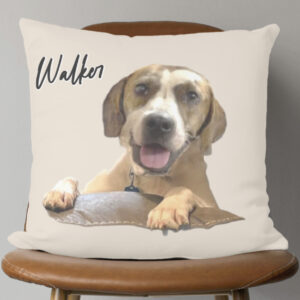 Pillow