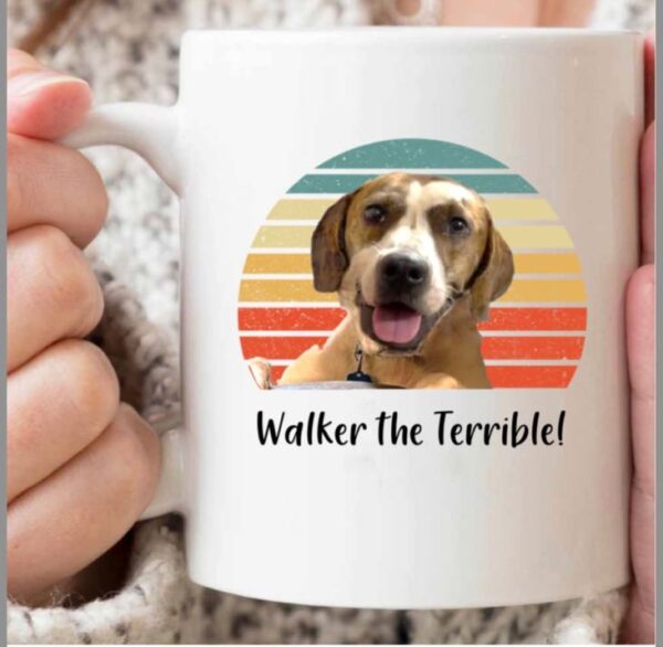 Walker The Terrible! Mug
